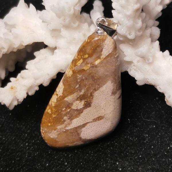 Versteinertes Holz Anhänger